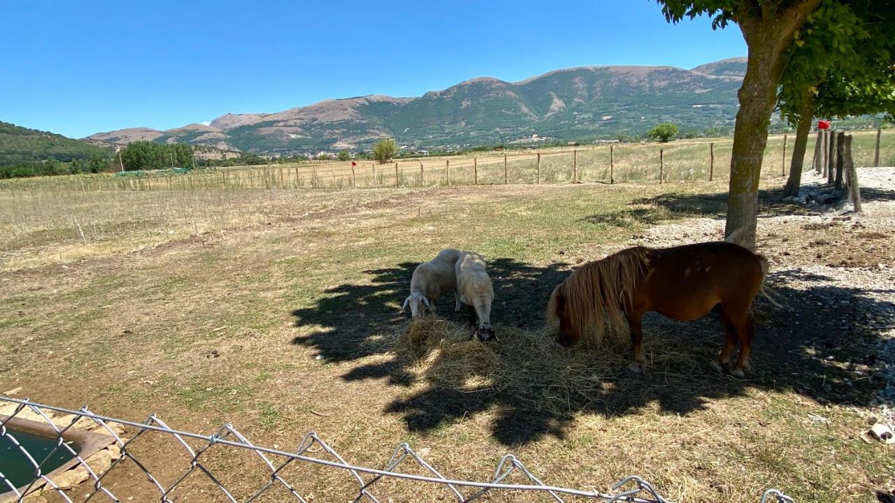 Agriturismo Il Pozzo Полла Экстерьер фото